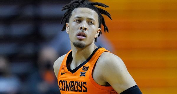 的综合优势 的综合优势