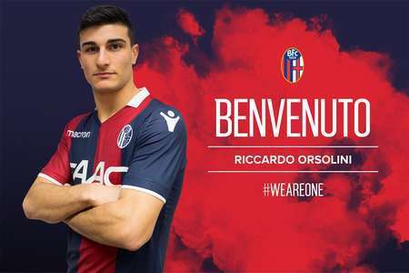 包括加维 包括加维