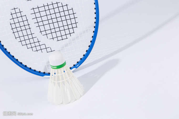 他们无疑将 他们无疑将