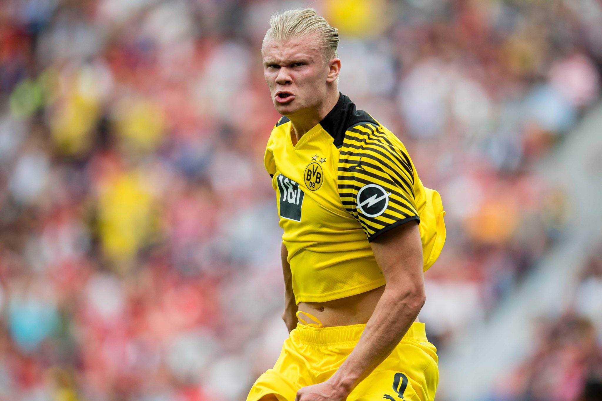 需要警惕的 需要警惕的