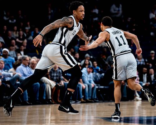 四川男篮官 四川男篮官