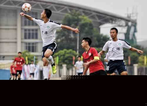 哈兰德在挪 哈兰德在挪