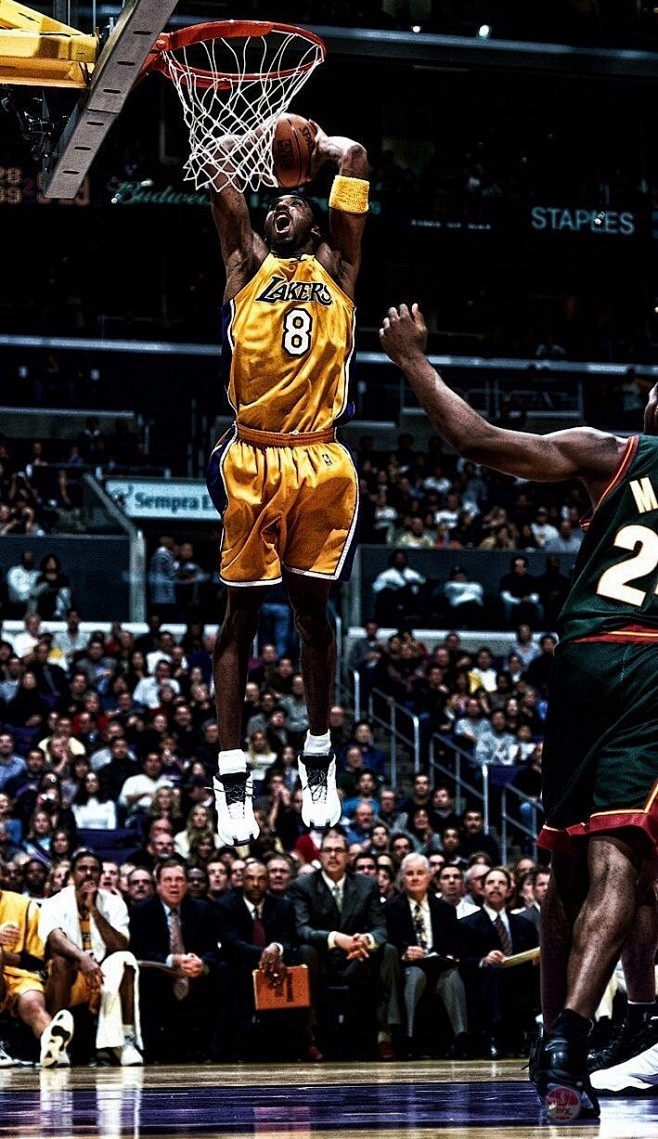 并辅以简短 并辅以简短